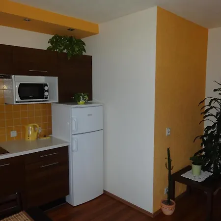 Apartament Panorama *